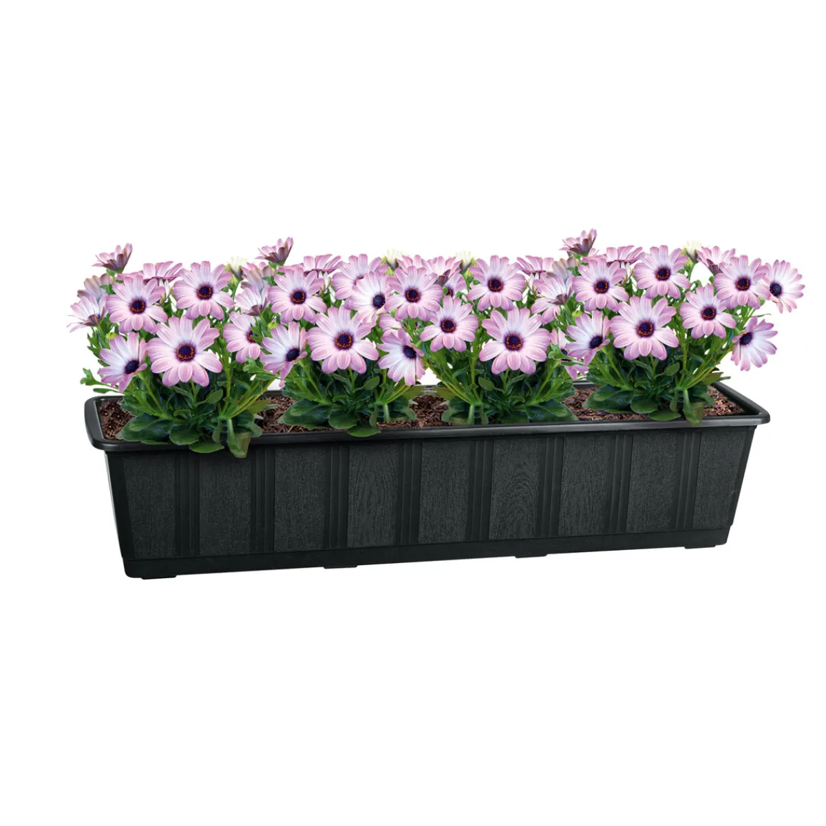 Geli Untersetzer Aqua Green Plus anthrazit 60 cm