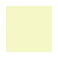 Outlet Vincent Wand- und Deckenfarbe Spring 5 L