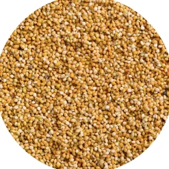 New Vitakraft Honig-Perlen 20g Sittich Beutel
