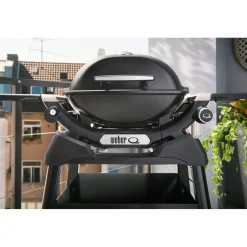 Weber Gasgrill mit Stand Q1200N