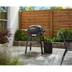 Best Weber Gasgrill mit Stand Q2200N