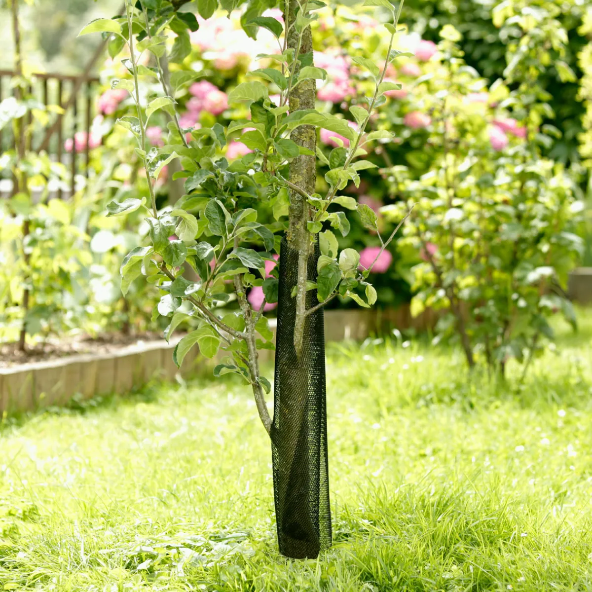 Online Windhager Baumschutz-Gitter 55 cm 2 Stück