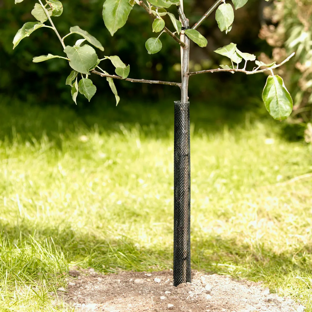 Online Windhager Baumschutz-Gitter 55 cm 2 Stück