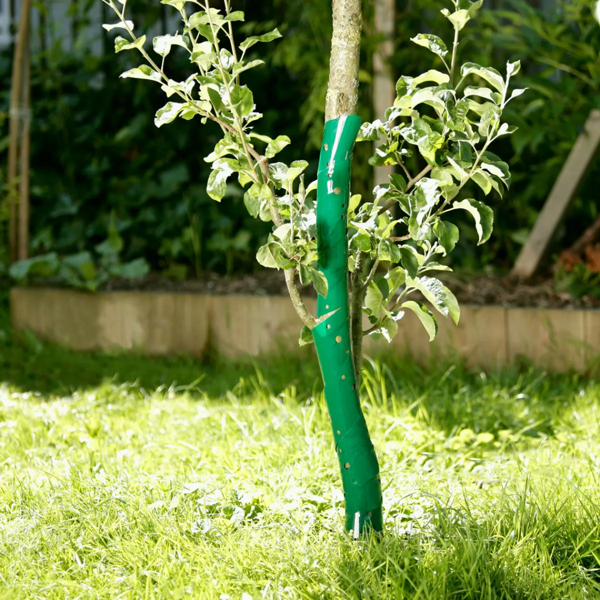 Best Windhager Baumschutzspiralen 60 cm 2 Stück