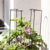 Best Windhager Ranksäule 2-teilig 125 cm