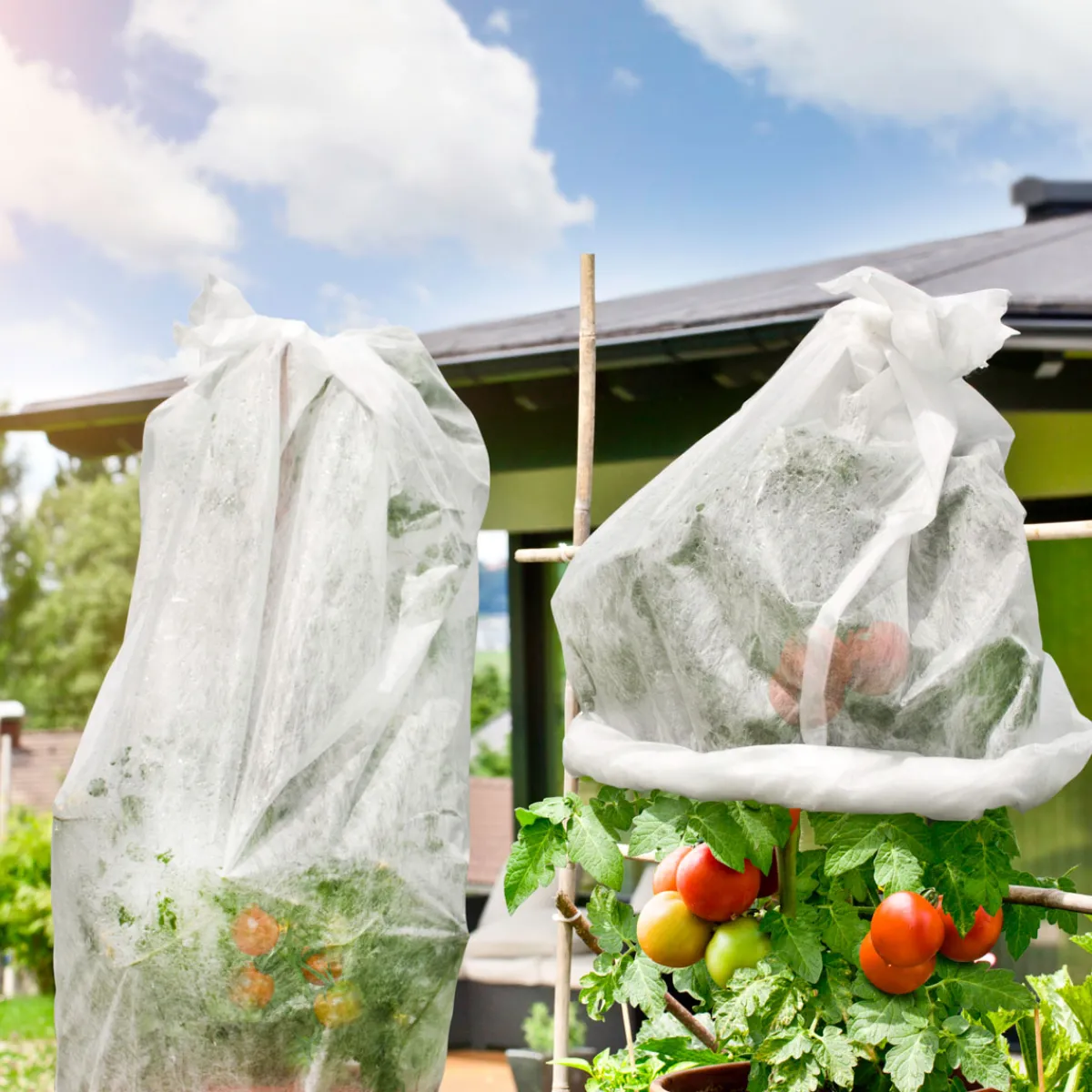 Windhager Tomatenvlies 18 g/m² 0,75x10 m