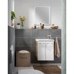 Clearance Fackelmann WT-Unterschrank GWC 52x61x27,5 AsEi/wei.Milano 2 Tueren, 1 Einlegeboden